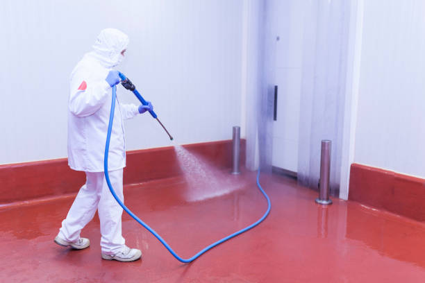 Best Graffiti Removal  in Galax, VA